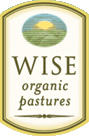 Wiselogo