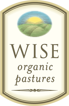 wise-big-logo